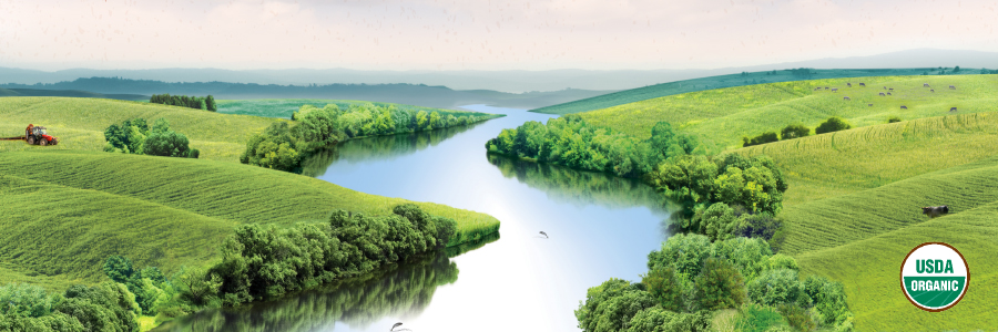 Image of landscape featuring a river