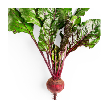 Beetroot juice