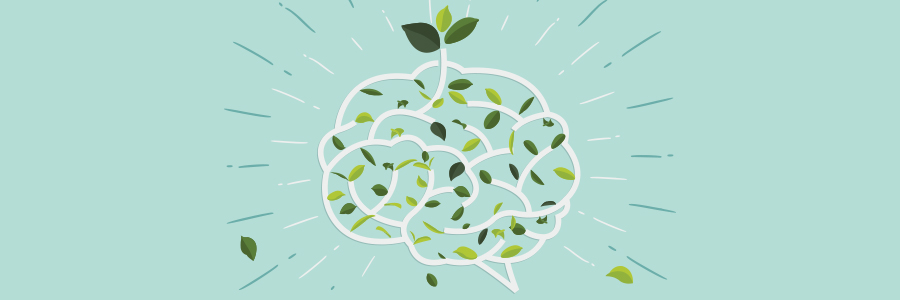 Illustration of brain