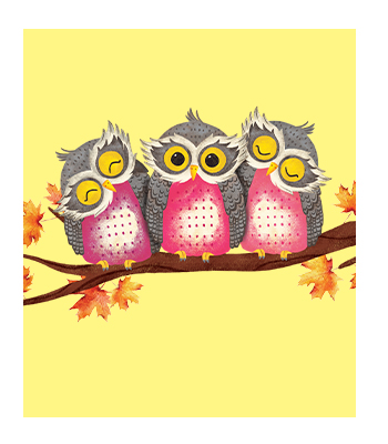 Meet the Owlets