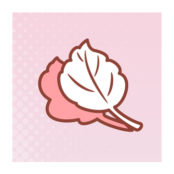 Illustration of choline leaf