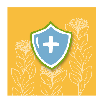 Illustration of a shield