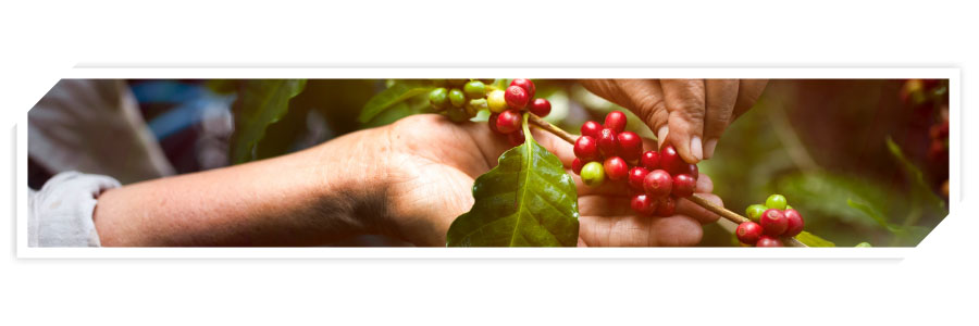 Earth Watch Featured Image 2