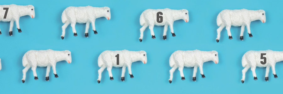 Counting Sheep