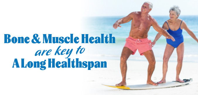 Bone & Muscle Health are Key to a Long Healthspan