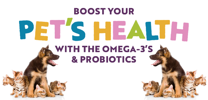 Boost Your Pet’s Health with the Omega-3s and Probiotics