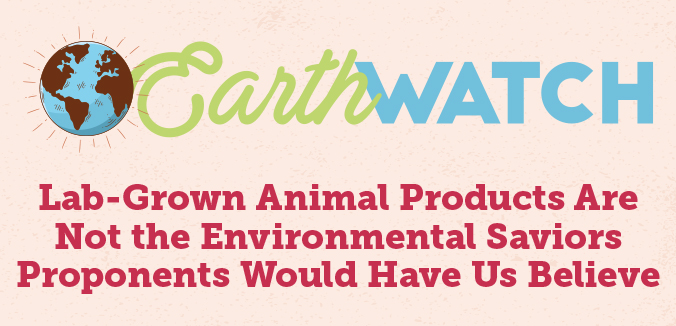 Earth Watch: Lab Grown Animal Products Are Not the Environmental Saviors Proponents Would Have Us Believe