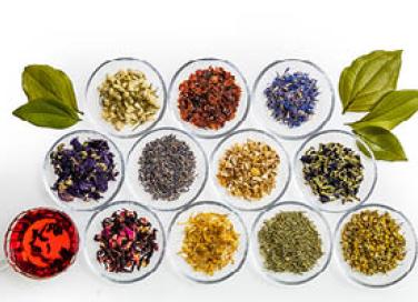 top ten trends botanicals boost brain function