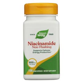 Niacinamide 100 Cap