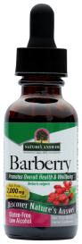 Barberry 1 Oz