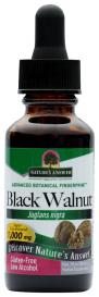 Black Walnut 1 Oz
