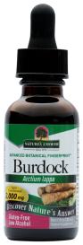 Burdock Root 1 Oz