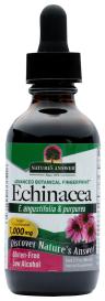 Echinacea Root 2 Oz