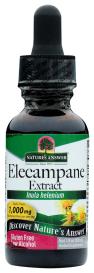 Elecampane Root 1 Oz