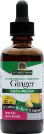 Ginger Root 2 Oz