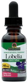 Lobelia Herb Extract 1 Oz