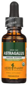 Astragalus Extract 1 Oz