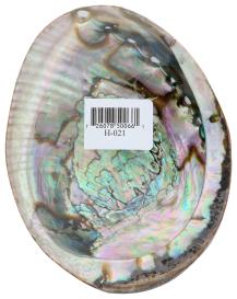 Smudge Vessel Abalon Shell Lrg 1 Ct