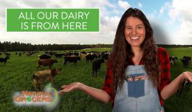 Here vs Here- Pasture Based Dairy 2