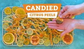 Candied Citrus Peel