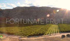 Meet Your Farmer: Fortunate Fruit